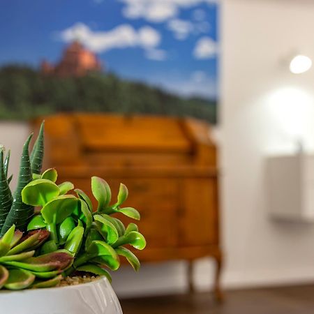 Righi Suite Apartment Bolonya Dış mekan fotoğraf