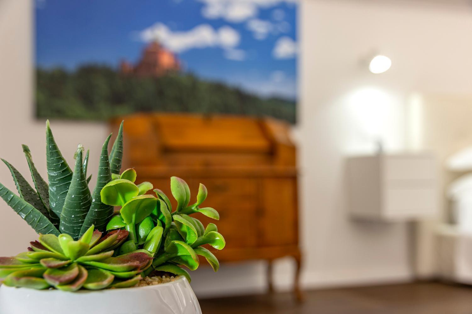 Righi Suite Apartment Bolonya Dış mekan fotoğraf